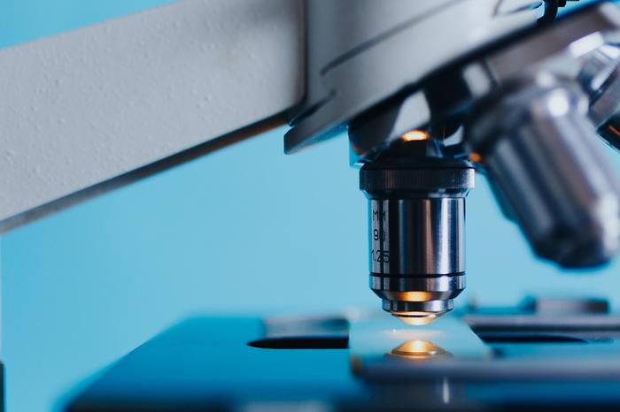 Laboruntersuchung unter dem Mikroskop, Symbolbild Entwurmung